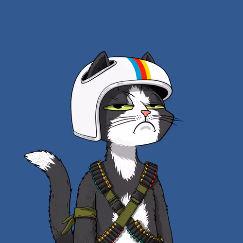 Mars Cat #9953