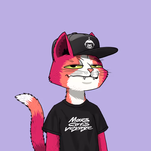 Marscatsvoyage