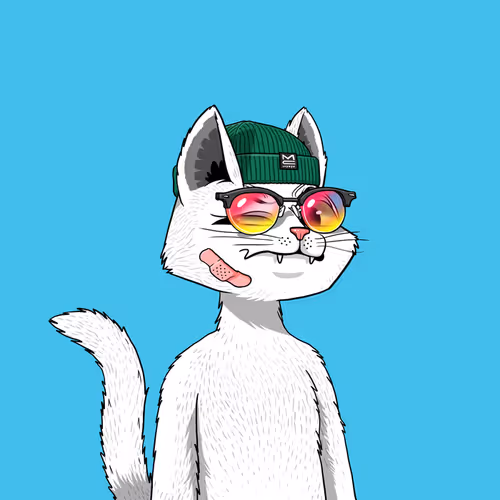 Mars Cat #437