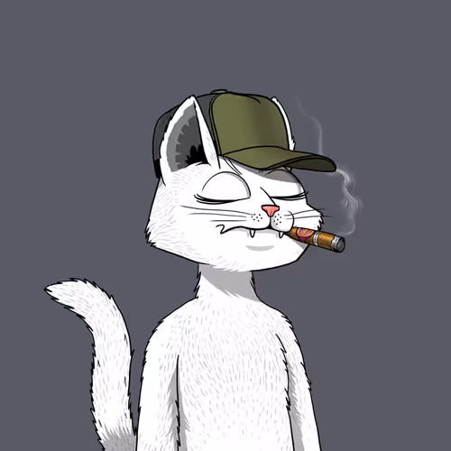 Mars Cat #1663
