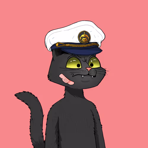 Mars Cat #2063