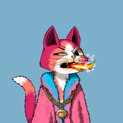Mars Cat #62
