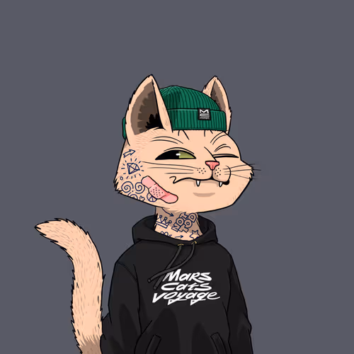 Mars Cat #2176
