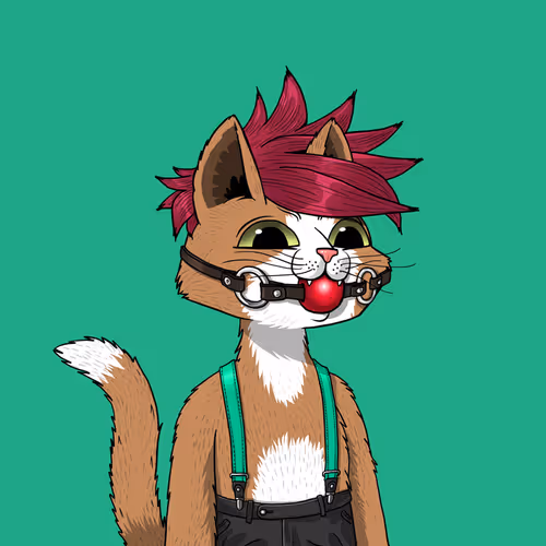 Mars Cat #2588