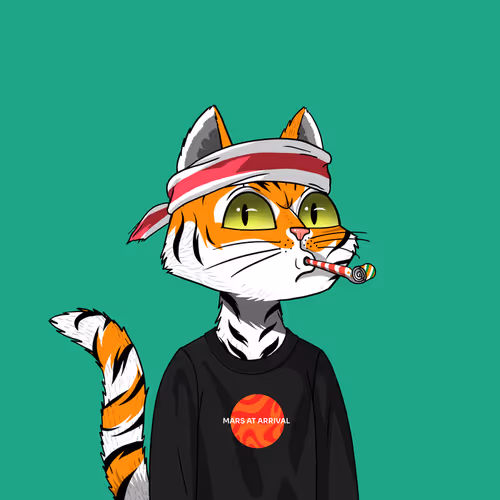 Mars Cat #2146