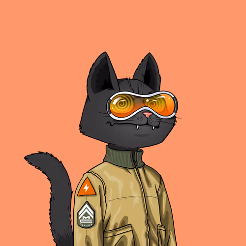 Mars Cat #1204