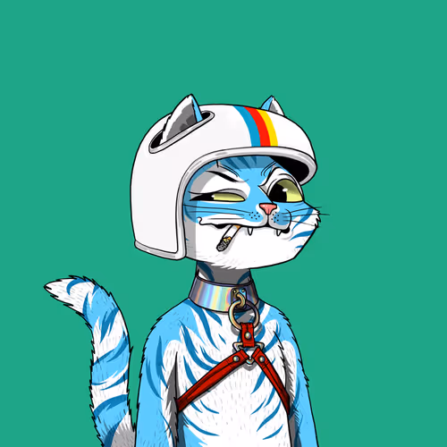 Mars Cat #1730