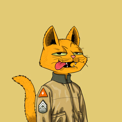 Mars Cat #6520