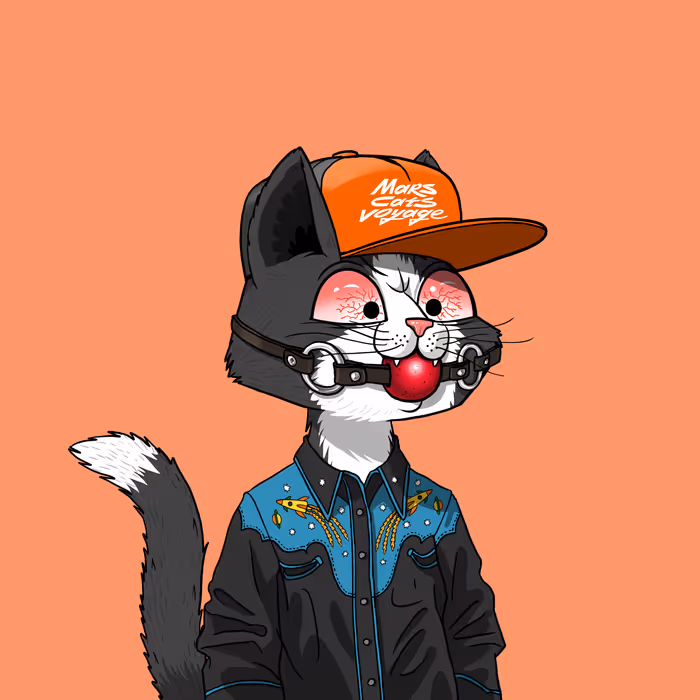 Mars Cat #9951