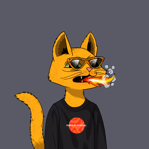 Mars Cat #2333