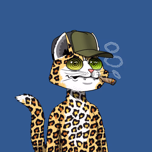 Mars Cat #144