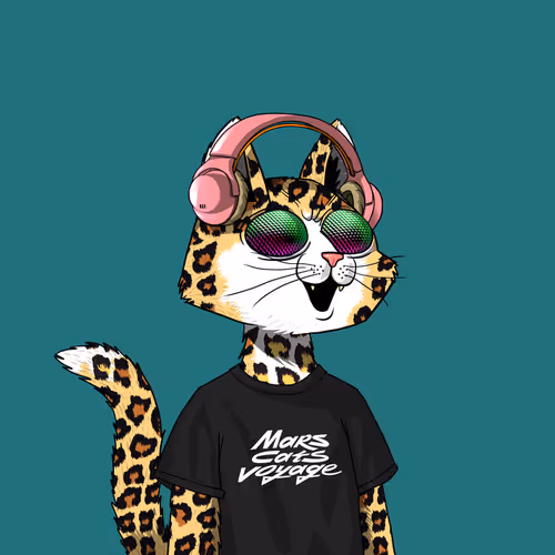 Mars Cat #2558