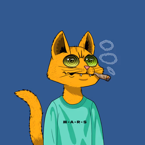 Mars Cat #6196