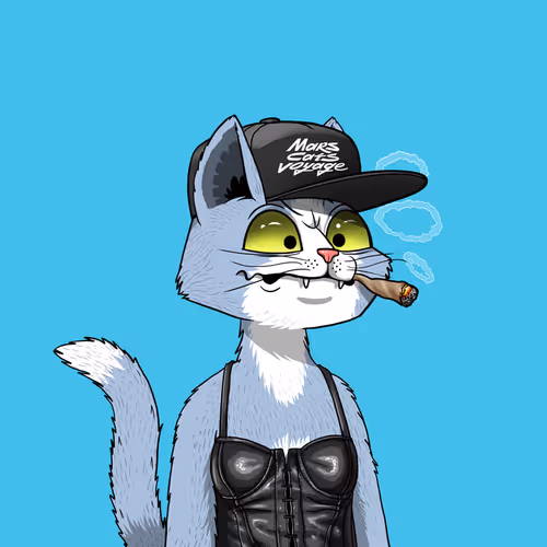 Mars Cat #1063