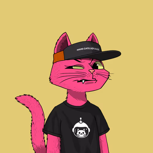 Marscatsvoyage