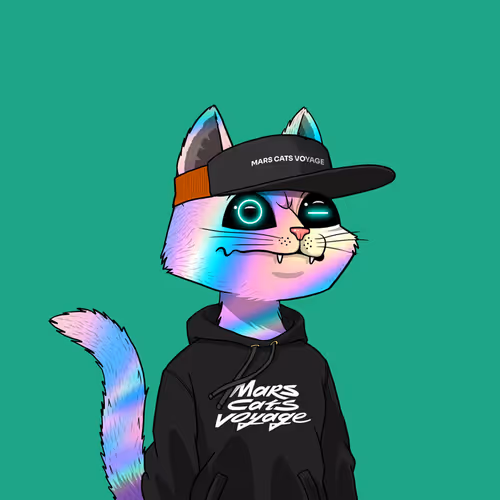Marscatsvoyage