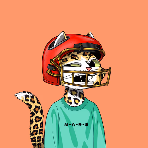 Mars Cat #5887
