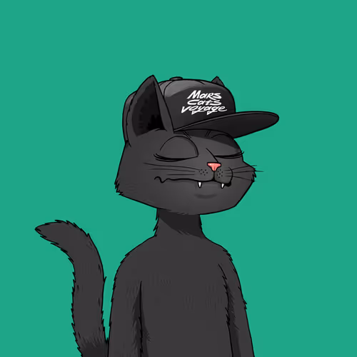 Mars Cat #162
