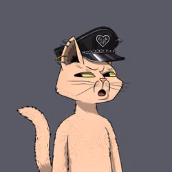 Mars Cat #4239