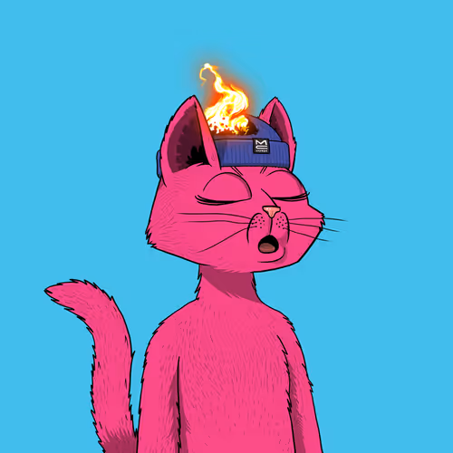 Mars Cat #3848