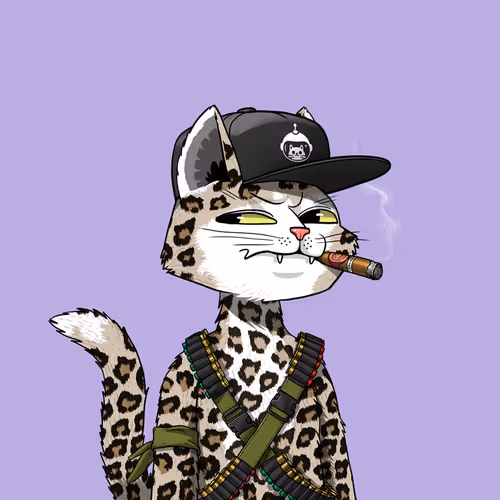 Marscatsvoyage