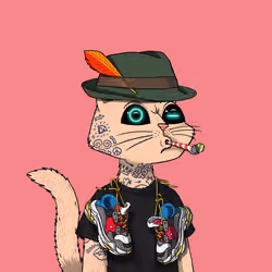 Mars Cat #3776