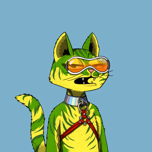 Mars Cat #6578