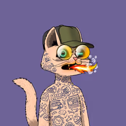 Mars Cat #8881