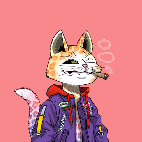 Mars Cat #2817