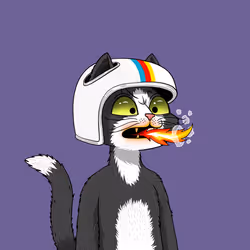 3885