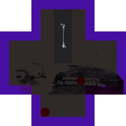 Item #164586915868180485 Media