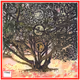 Mother Tree