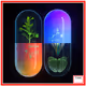 Evolutionary Supplements