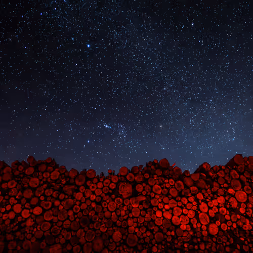 Red By Ricardo Takamura