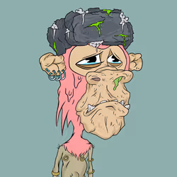 9776