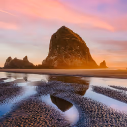 Cannon Melody by Rachel Wood