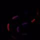 85