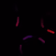 47