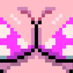 805
