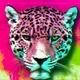 SPIRIT ANIMALS - jOhXKPhdAk