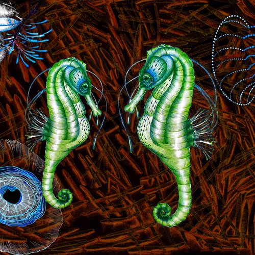 Enigmatic Depths