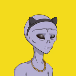 43