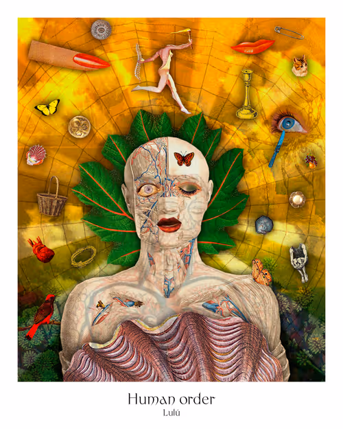 Item #1700100005 Media