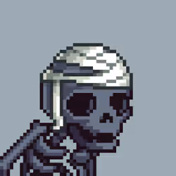 BONES #1684