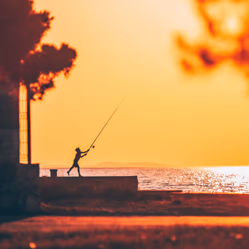 Sea 2o1glld4nw