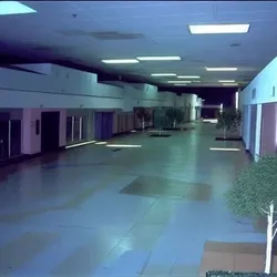 trappedJPEG #342