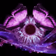 Enchanted V4