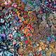 Floriferous