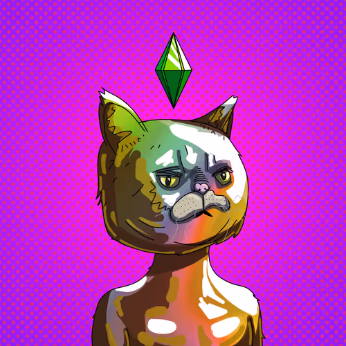 Topcatbeachclub
