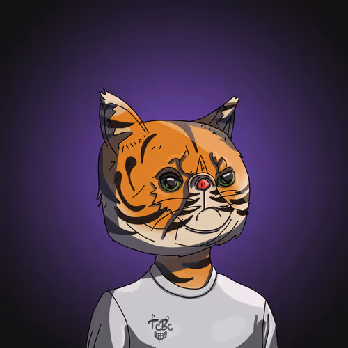 Topcatbeachclub
